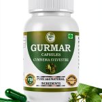 Gudmar Gymnema Sylvestre Supplement Vegetarian Capsules-0